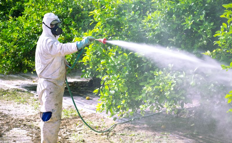 Commercial Fumigation in Oklahoma City, OK