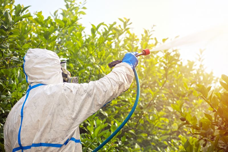 Fumigation Service in Cumming, GA