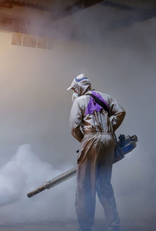 Rat Fumigation Service in Marietta, GA