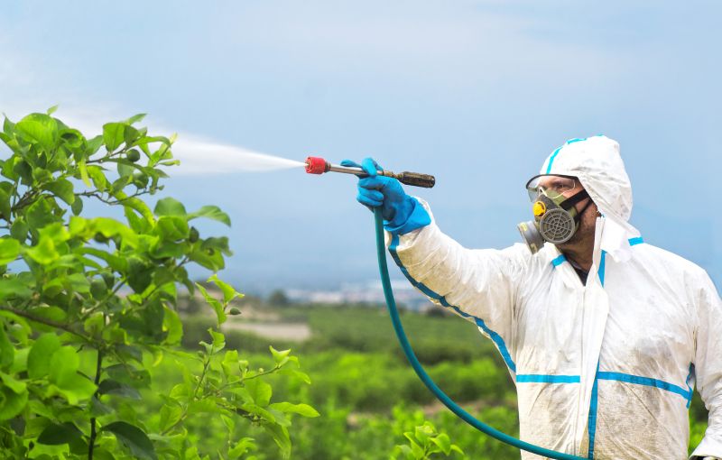 Rat Fumigation Service in Woodbridge, VA