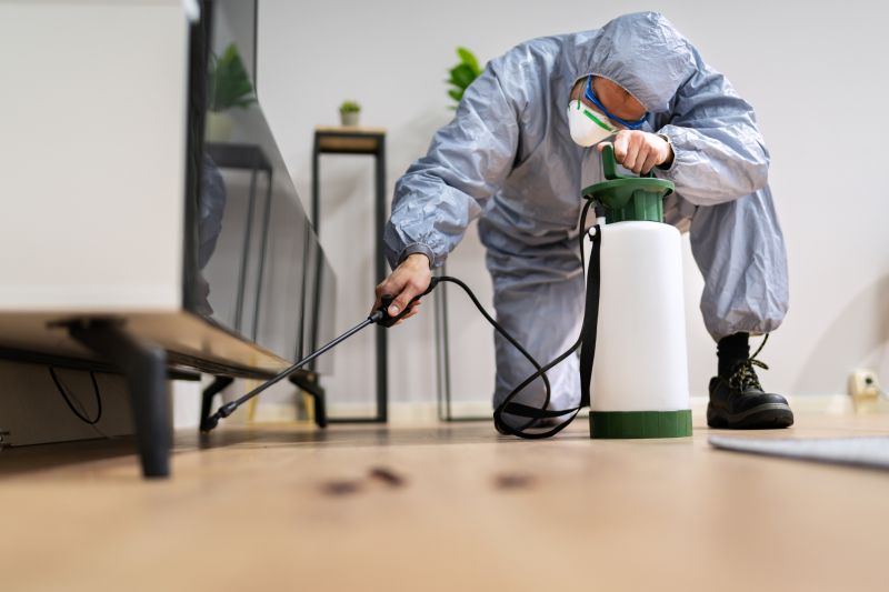 Roach Fumigation in Franklin, TN