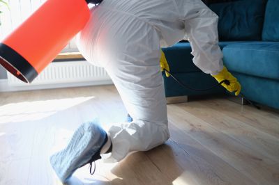Spider Fumigation Service in Cumming, GA
