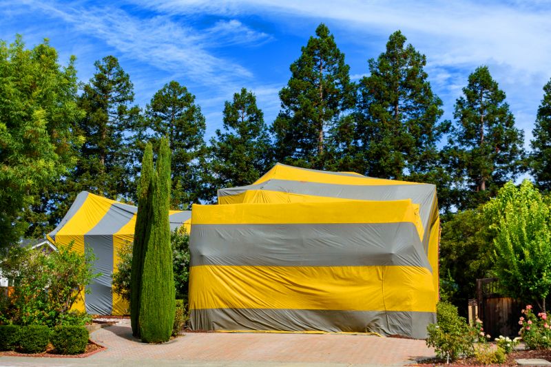 Tent Fumigation in Asheville, NC