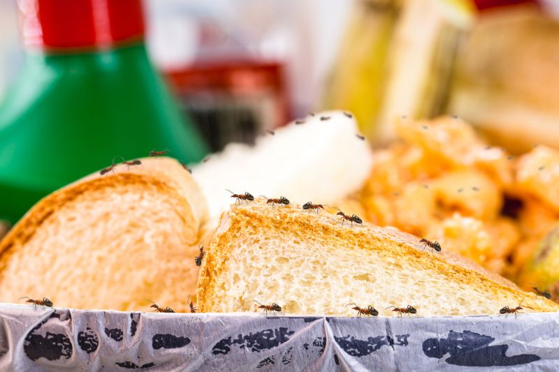 Follow-up Treatments